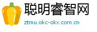 聪明睿智网